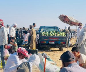 محافظ شمال سيناء يتابع تشغيل" سوق الجورة " بعد توقفه 10 سنوات (صور)