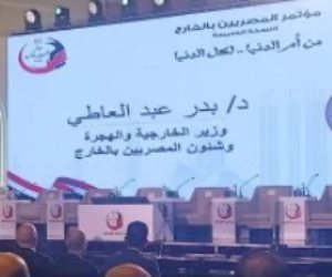 وزير الخارجية ينقل تحيات الرئيس السيسى للجاليات المصرية بمؤتمر المصريين بالخارج