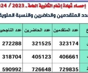 بالأرقام.. وزير التربية والتعليم يعلن عدد الناجحين من البنين والبنات