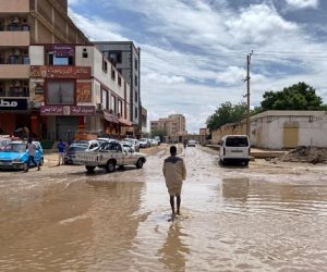 معارك ومأساة إنسانية ممتدة في السودان.. تقارير تكشف كارثة بيئية في غرب البلاد والحرب تهدد بإزالة الغابات في دارفور