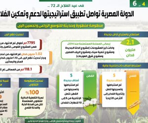 الدولة المصرية تواصل تطبيق استراتيجيتها لدعم وتمكين الفلاح.. (إنفوجراف)