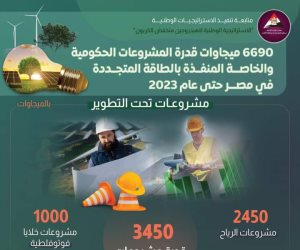 6690 ميجاوات لمشروعات حكومية وخاصة منفذةً حتى عام 2023.. رئيس الوزراء يتابع إجراءات إدخال أكبر قدر ممكن من الطاقة المتجددة على الشبكة