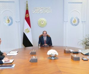 الرئيس السيسى يبحث مشروعات الربط الكهربائي مع دول الجوار واستراتيجيات العمل مع القطاع الخاص