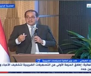 نائب وزير المالية: تصنيف مصر الخاص بجذب الاستثمار فى تزايد إيجابى