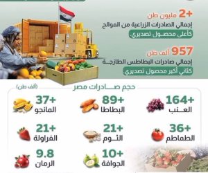 1.3 مليون طن صادرات مصر الزراعية خلال الشهرين الأخيرين