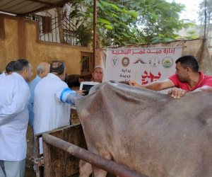 إطلاق قوافل بيطرية مجانية فى الدقهلية ضمن مبادرة "بداية جديدة" 