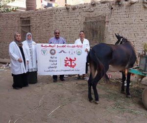 عمليات وكشف مجاني بقوافل الطب البيطري بالدقهلية.. ضمن مبادرة بداية (صور)