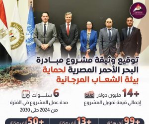 14 مليون دولار لمبادرة البحر الأحمر المصرية لحمايتها.. «البيئة»: تصدع كبير بهيكل الشعاب المرجانية بالقصير لشحوط سفينة تجارية