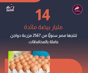 14 ملياراً تنتجها سنوياً 2576 مزرعة دواجن بالمحافظات.. «الصناعات الغذائية» و«منتجي الدواجن» يتفقان لطرح بيض المائدة بالمنافذ 30 نوفمبر 2024