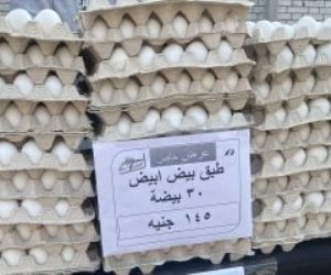 طرح جميع السلع الغذائية الأساسية .. سوق اليوم الواحد بالعمرانية يطرح بيض المائدة بـ145 جنيهًا