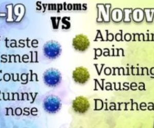 وباء جديد مرعب فى شتاء 2025.. قىء قاتل وإسهال فما هو «نوروفيروس»؟ 