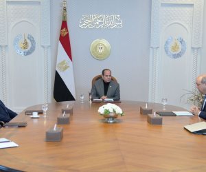 الرئيس السيسي يوجه باستمرار العمل على تطوير منظومة الطيران بشكل متكامل