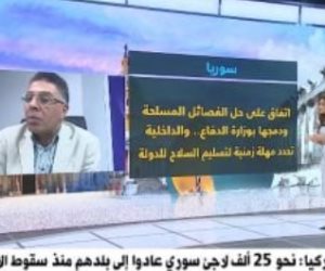 عماد الدين حسين: دمج الفصائل فى جيش واحد بسوريا إيجابى يحتاج لتنفيذ مدروس