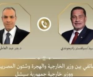 وزير خارجية سيشل لبدر عبد العاطى: نقدر دور مصر الإقليمى والدولى