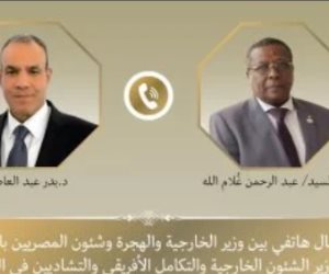 وزير الخارجية يؤكد لنظيره التشادى دعم مصر لجهود بلاده للحفاظ على الأمن