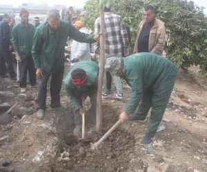 محافظ الجيزة: تنفيذ المرحلة الأولى لتشجير الطريق الدائري نطاق المريوطية واللبيني وعمرو بن العاص ضمن مبادرة ١٠٠ مليون شجرة 