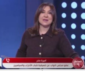 أميرة صابر: مجلس النواب قلبا وقالبا مع حقوق الشعب الفلسطينى