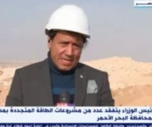 عوض الغنام: مصر الثانية إفريقيًا فى طاقة الرياح وخليج السويس جاذب عالميا