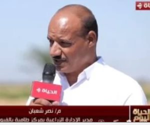 زراعة طامية: المزارع لا يلجأ للسوق السوداء لشراء الأسمدة لجودة ورخص منتجاتنا