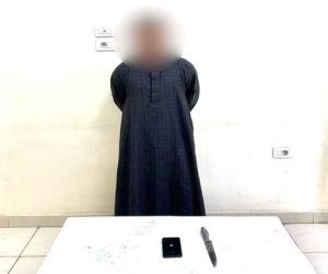 ضبط المتهم بالتعدي على «قطة» بسلاح أبيض في الأقصر
