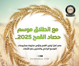 إعلام الوزراء: 3.1 مليون فدان قمح وأصناف جديدة عالية الإنتاجية ودعم غير مسبوق للمزارعين في موسم توريد 2025 إعلام الوزراء: 3.1 مليون فدان قمح وأصناف جديدة عالية الإنتاجية ودعم غير مسبوق للمزارعين في موسم توريد 2025