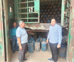ضبط عمليات تهريب سولار ودقيق مدعم وأسمدة زراعية مغشوشة بالجيزة.. والمحافظ يشدد على التصدي لكافة ممارسات الغش التجاري والتلاعب بالسلع المدعمة