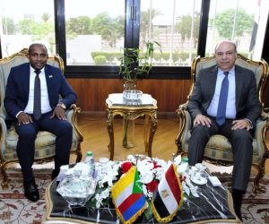 الحفنى يلتقي وزير الخارجية والتعاون الدولي لجزر القمر لبحث سبل التعاون المشترك في مجالات الطيران المدني الحفنى يلتقي وزير الخارجية والتعاون الدولي لجزر القمر لبحث سبل التعاون المشترك في مجالات الطيران المدني