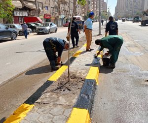 محافظة الجيزة تشن حملات نظافة وتجريد بمنطقة العروبة في حي الطالبية