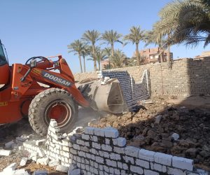 الموجة 26 لإزالة التعديات.. إزالة 21 حالة على الأراضي الزراعية وأملاك الدولة بالجيزة