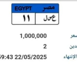 طرح لوحة سيارة مميزة رقمها "ع سـ ل 11" بالمزاد وسعرها وصل مليون جنيه