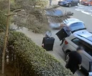 ظهور حقائب غامضة .. فيديو يكشف تفاصيل هامة في واقعة سرقة فيلا نوال الدجوي ظهور حقائب غامضة .. فيديو يكشف تفاصيل هامة في واقعة سرقة فيلا نوال الدجوي