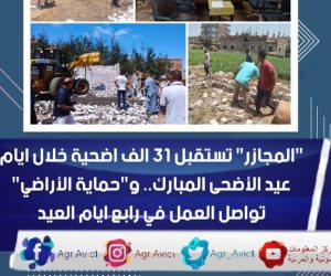 31 ألف أضحية استقبلتها مجازر «الزراعة» لعيد الأضحى العام الماضي.. «التموين»: 225 جنيهاً للخراف الحية و190 جنيهاً للأبقار للكيلوجرام قائم