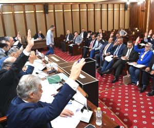 تشريعية النواب توافق نهائيا على تعديل قانوني مجلس النواب، وتقسيم الدوائر الانتخابية