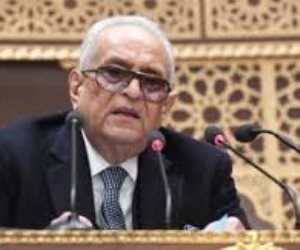وكيل الشيوخ يوافق على مشروع قانون الشيوخ ويؤكد: يحقق التمثيل المتوازن