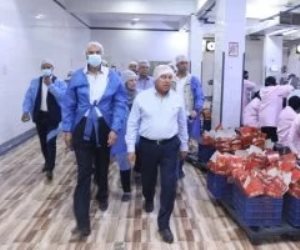كامل الوزير يفتتح مشروعات جديدة باستثمارات محلية وأجنبية فى الصعيد