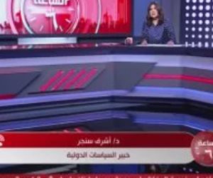 خبير بالسياسات الدولية: الدبلوماسية المصرية نشطة فى كل الاتجاهات