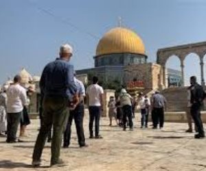 رتيبة النتشة: إسرائيل تصعد اقتحامات الأقصى وتستغل "مسيرة الأعلام"