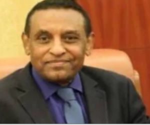 رئيس وزراء السودان يشكر الأمم المتحدة لدورها فى الاستجابة لوباء الكوليرا