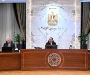 قرار جديد من مجلس الوزراء بشأن تعريفة التغذية الكهربائية لمشروعات توليد الطاقة