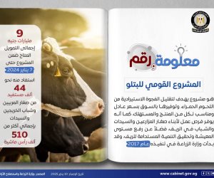 أكثر من 500 مليون جنيه لتمويل «البتلو» منذ يناير حتى يونيو 2025.. والمشروع أفاد 44.8 ألف مستفيد