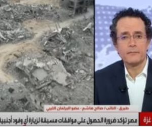 برلمانى ليبى: عبور قافلة "الصمود" دون تأشيرات يعرض الأمن القومى للخطر