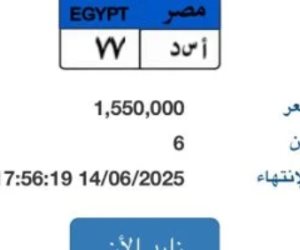 "أسد - 77".. أحدث لوحة سيارة مميزة مطروحة بالمزاد قيمتها تتخطى 1.5 مليون جنيه