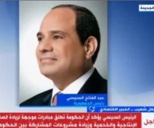 خبير اقتصادى: استقبال السيسى لرئيس مؤسسة التمويل يؤكد المضى فى طريق الإصلاح