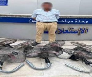 نتائج جهود الأجهزة الأمنية بالقاهرة فى مجال مكافحة جرائم السرقة