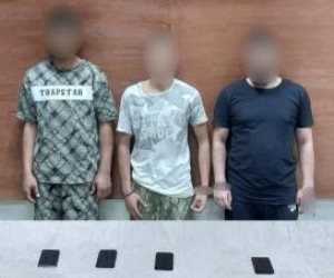 نتائج جهود الأجهزة الأمنية بالقاهرة في مجال مكافحة جرائم السرقة