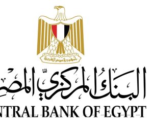 البنك المركزى: 29.4 مليار دولار تحويلات المصريين بالخارج خلال 10 أشهر