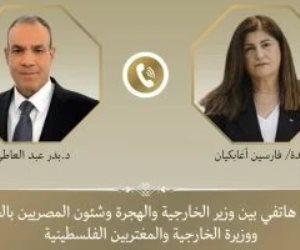 وزير الخارجية يستعرض جهود مصر لاستئناف وقف إطلاق النار فى قطاع غزة