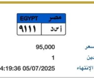 "أسد - 9111" أرخص لوحة سيارة مميزة مطروحة بالمزاد.. اعرف سعرها
