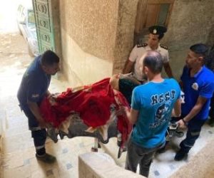 فى لفتة إنسانية.. الأجهزة الأمنية تستجيب لاستغاثة سيدة غير قادرة على الحركة ونقلها للمستشفى