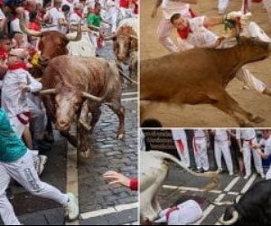 مهرجان الرعب يبدأ فى إسبانيا .. نقل 6 من متسابقي الثيران في بامبلونا إلى المستشفى فى أول جولة .. صور